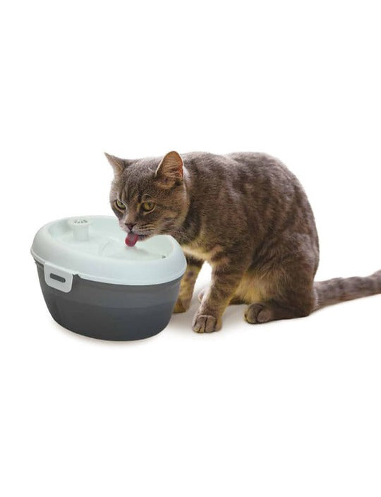 نافورة شرب الحيوانات الأليفة