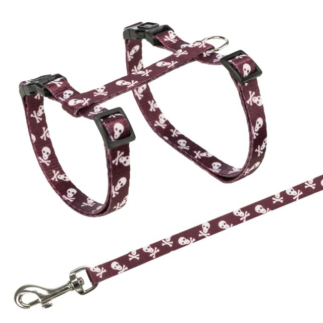 حزام تريكسي جونيور