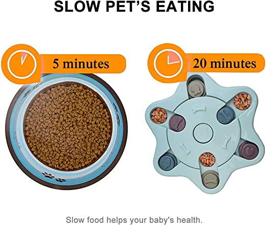 یاری فیدەری مەتەڵ