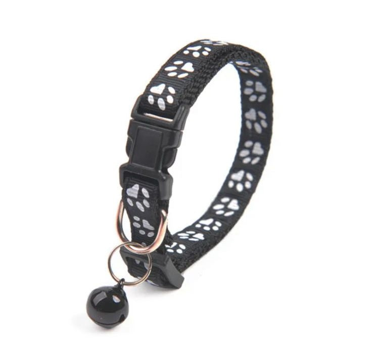 کۆلارەی پشیلە