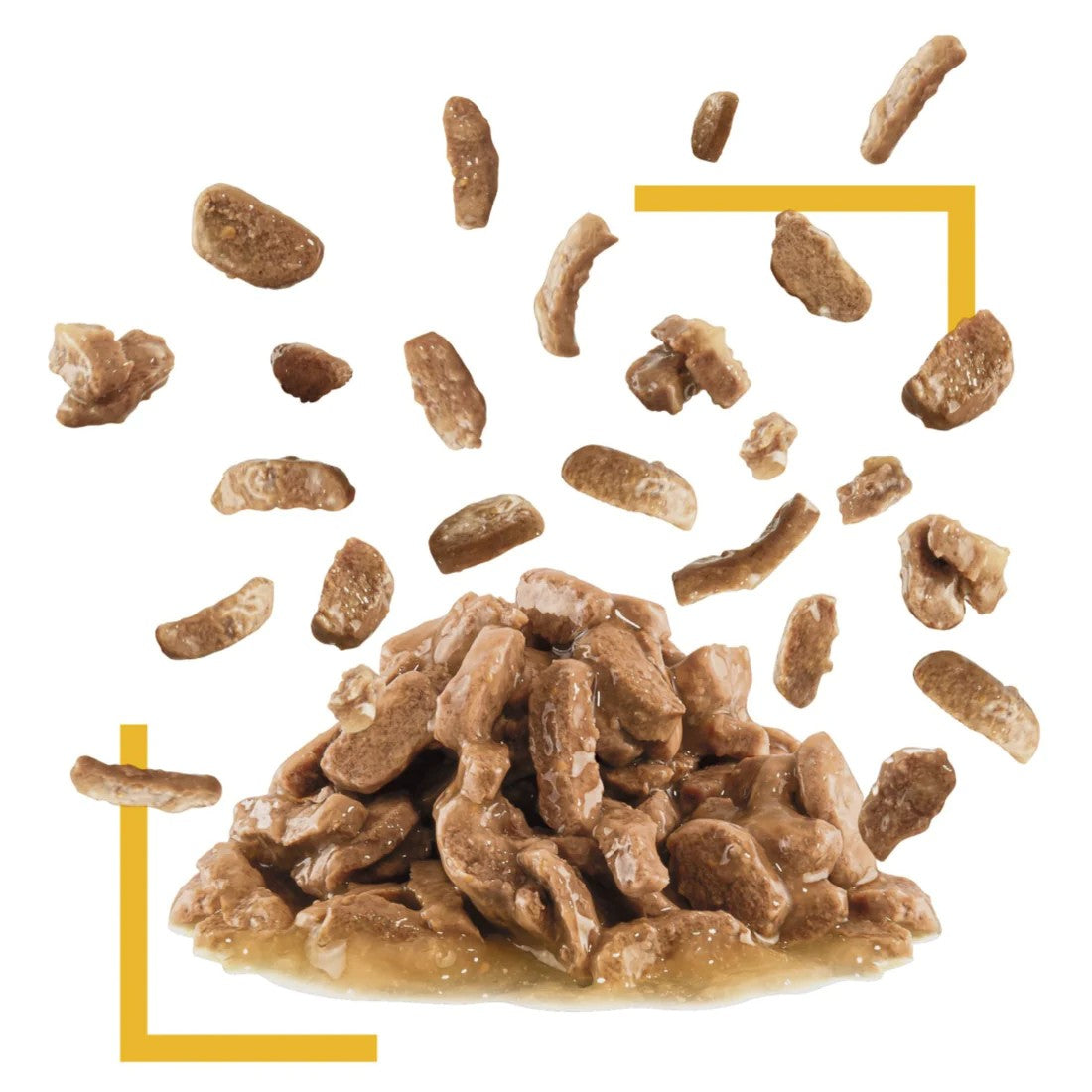 تامی هەستیاری ڕۆیاڵ کانین 12X