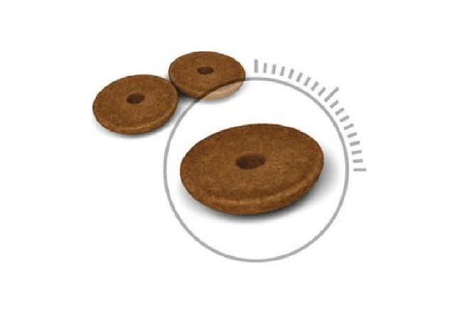 ڕۆیاڵ کانین بۆ هەرسکردن 2Kg