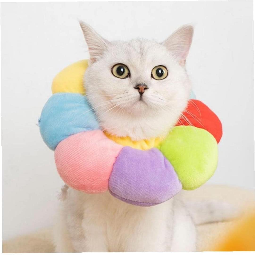 Protective Collar - XS