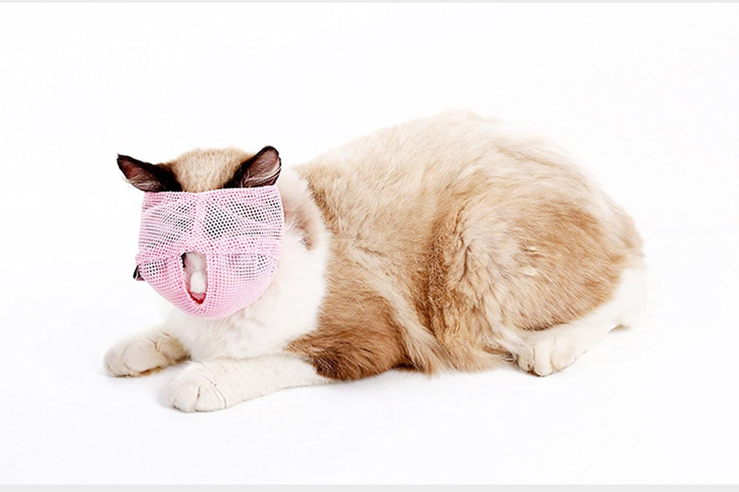 Cat Muzzles - Breathable Mesh - S