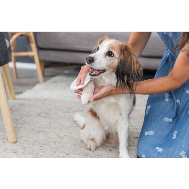 تريكسي كوت كير 30x