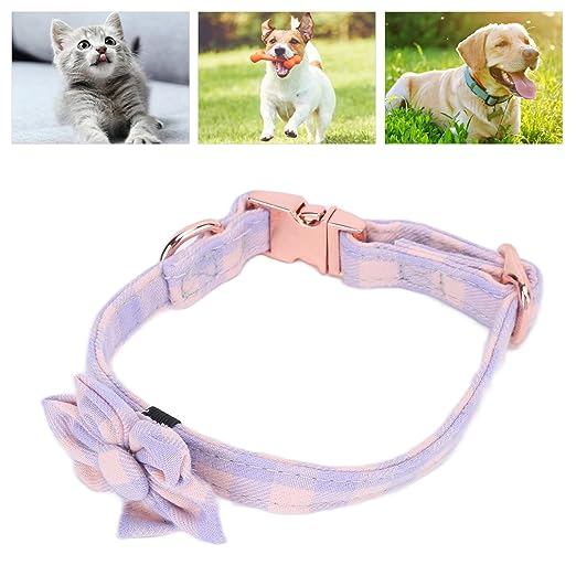 Pet Collar M