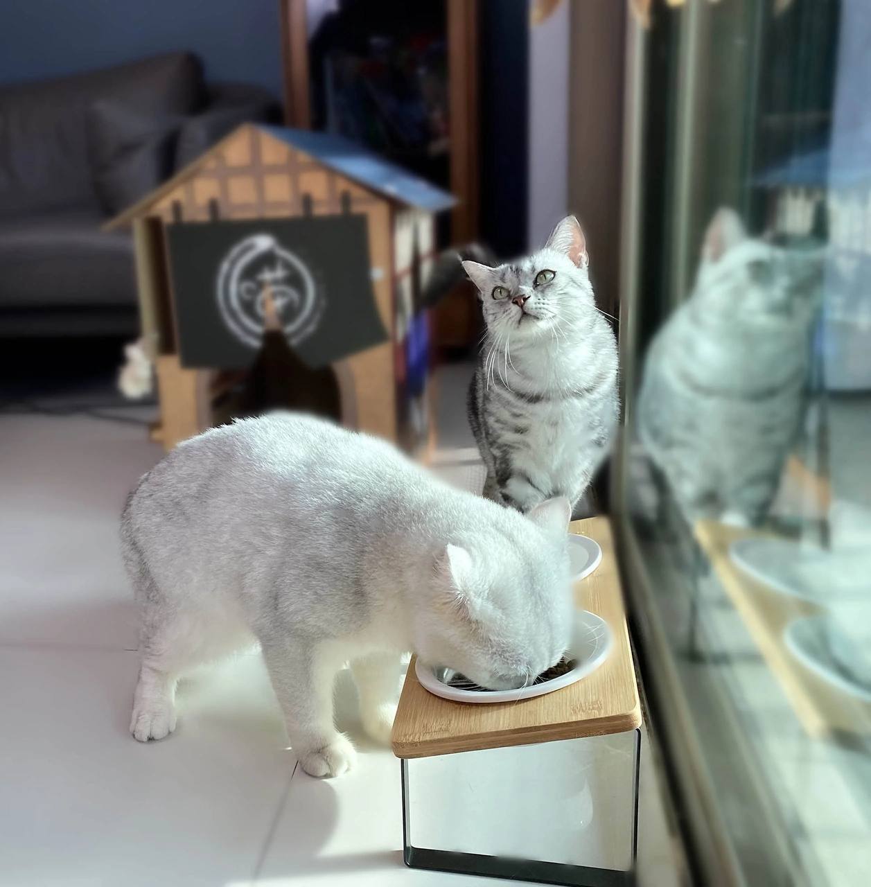 وعاء سيراميك 14سم