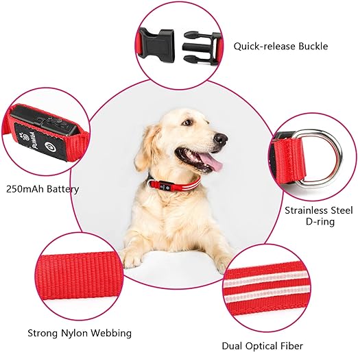 طوق LED PcEoTllar S