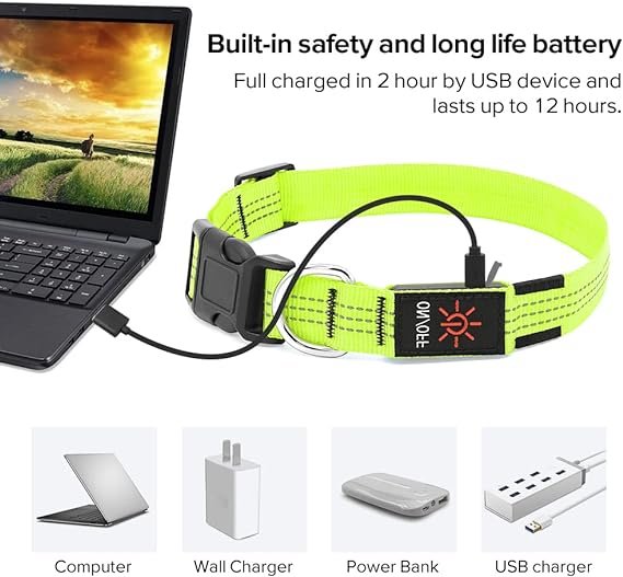 طوق الكلب كاندوفلاي مقاس S