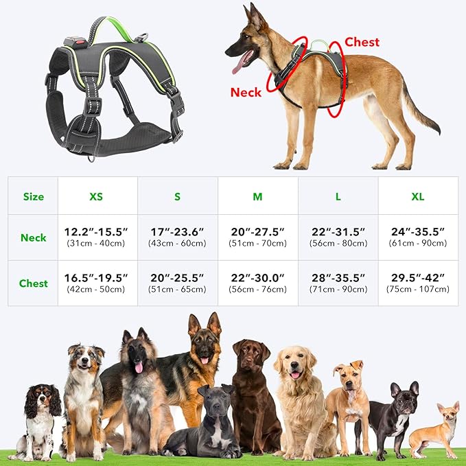 حزام الكلب المضيء بدون سحب LED L