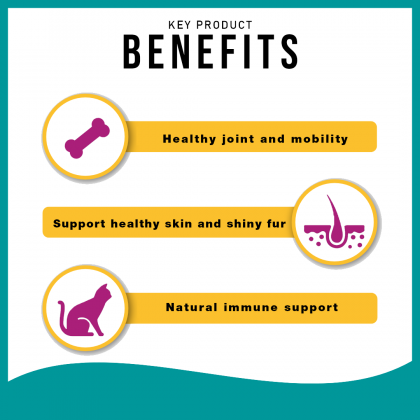 Pure Life Kitten Chicken 15Kg