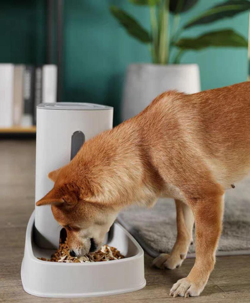 موزع مياه سعة 3.8 لتر