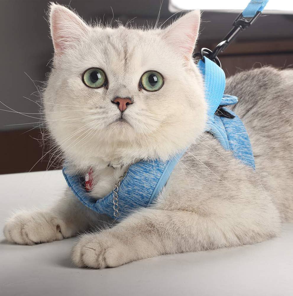 Soft Leash & Harness S