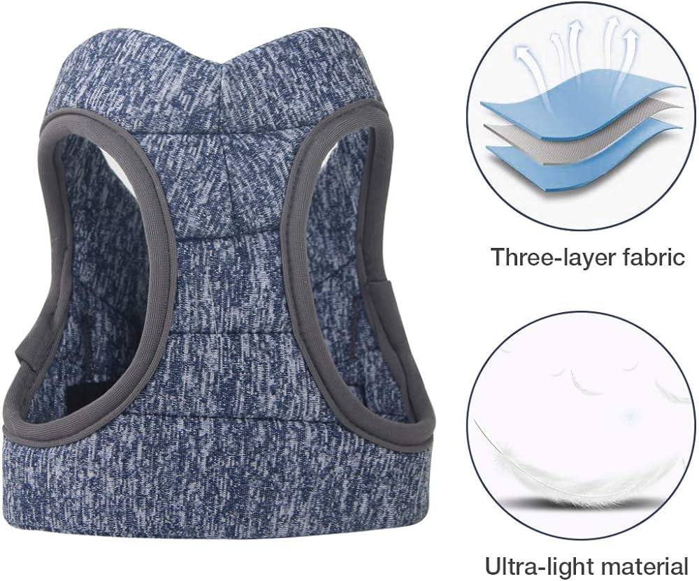 سۆفت لیش و هارنێس L