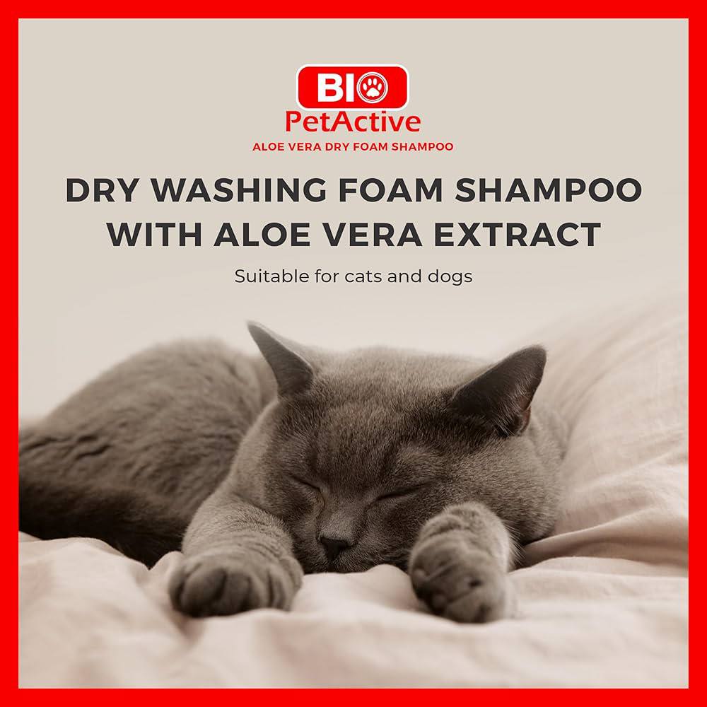 Bio Aloe Vera Dry Washing Foam shampoo