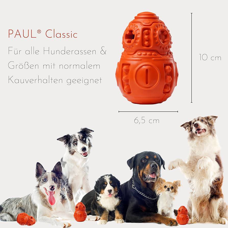 لعبة الكلب بول