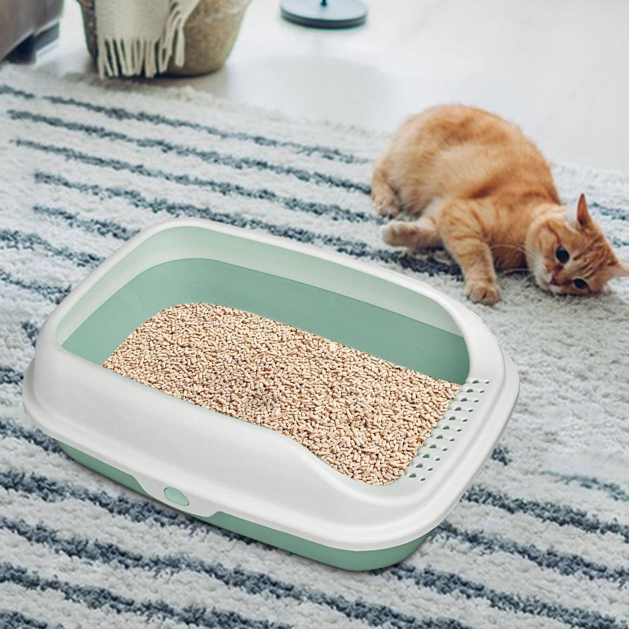Open Litterbox Green 37cm