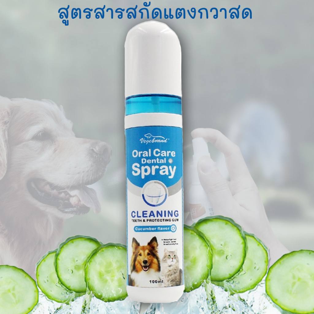 بخاخ تنظيف الأسنان فيجيبراند بنكهة الخيار 100 مل