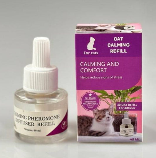 Calming & Comfort Diffuser 48ml