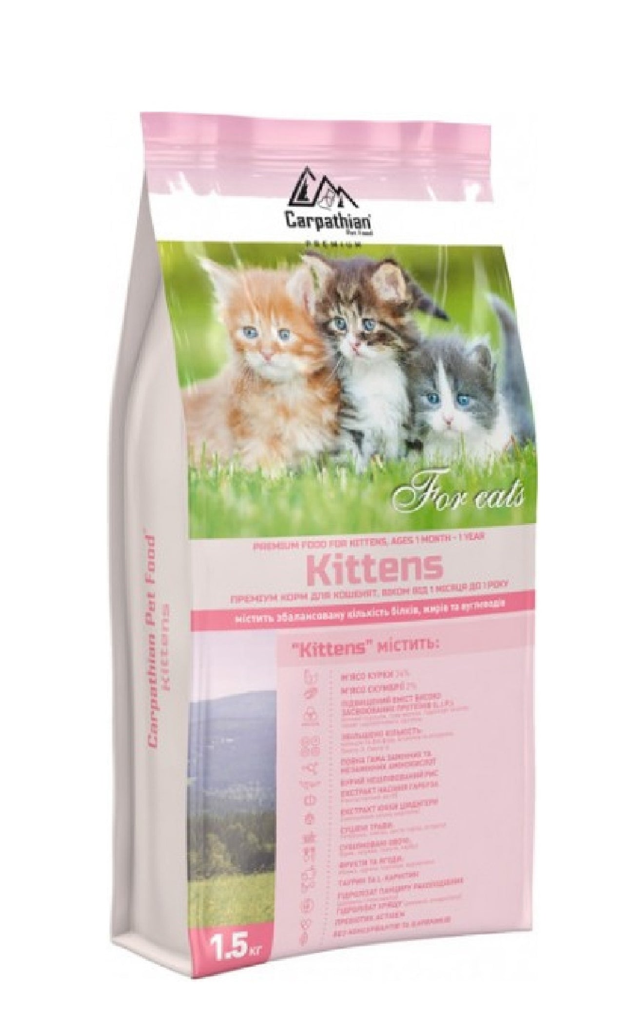 Carpathian Kitten 1,5Kg