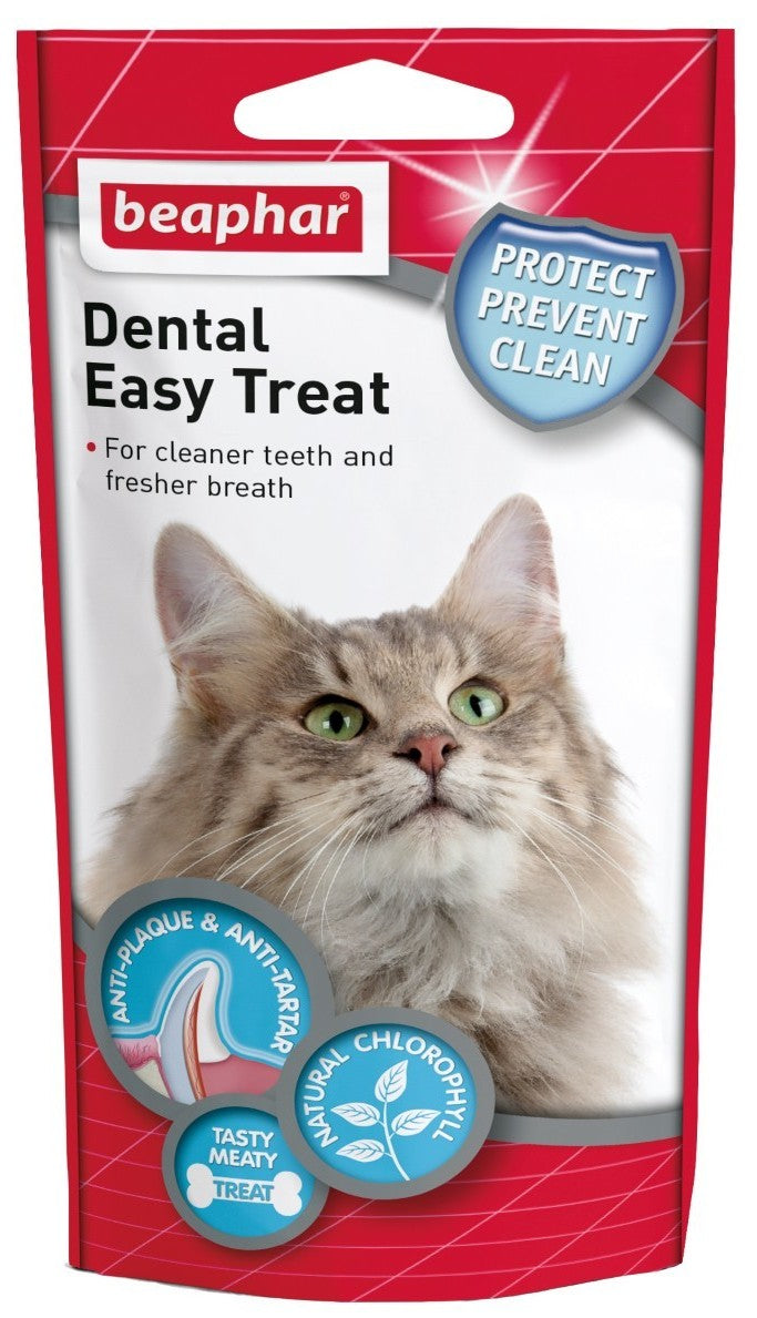Dental Treat 75Pcs
