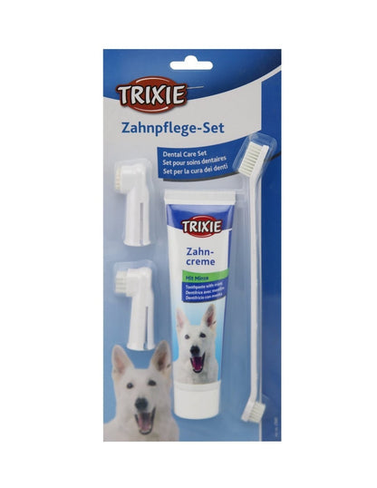 مجموعة الأسنان