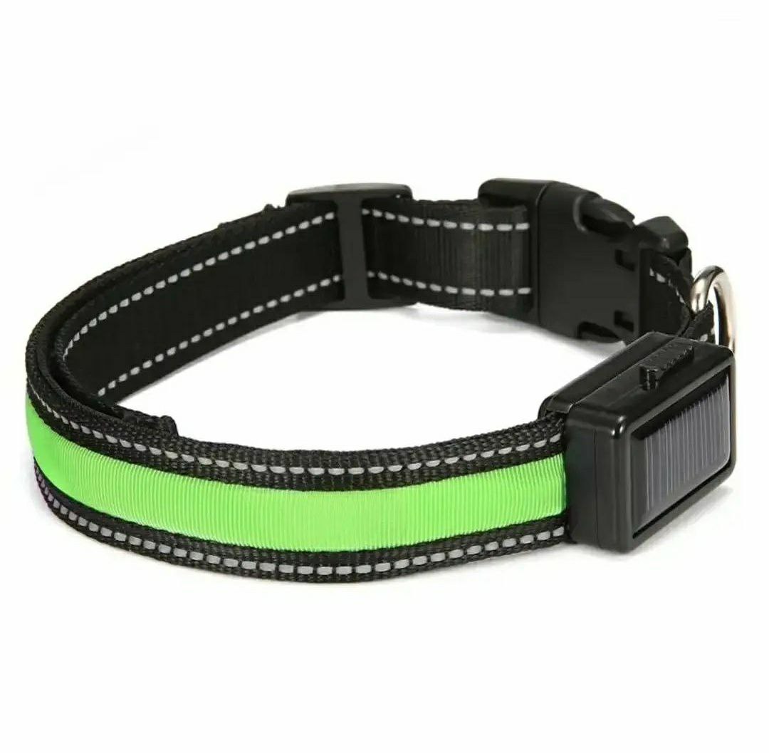 طوق LED للحيوانات الأليفة