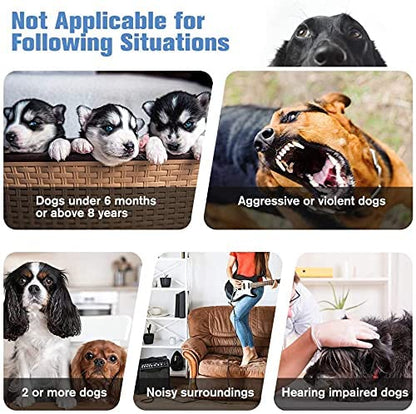 کۆنترۆڵی بارکینگ بە سۆنەر