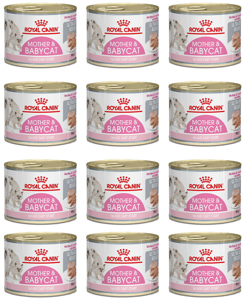 ڕۆیاڵ کانین دایک و پشیلە ساوا 12X