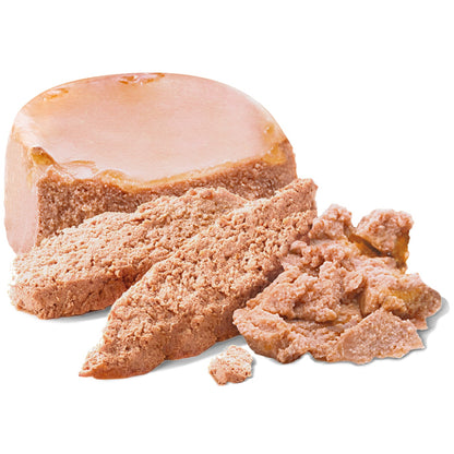 ڕۆیاڵ کانین دایک و پشیلە ساوا 12X