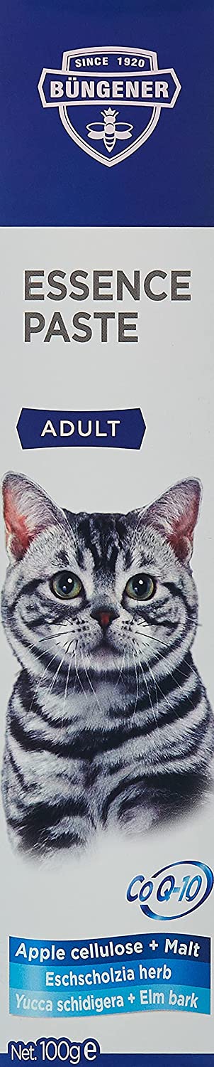 ئێسێنس پاست 100g