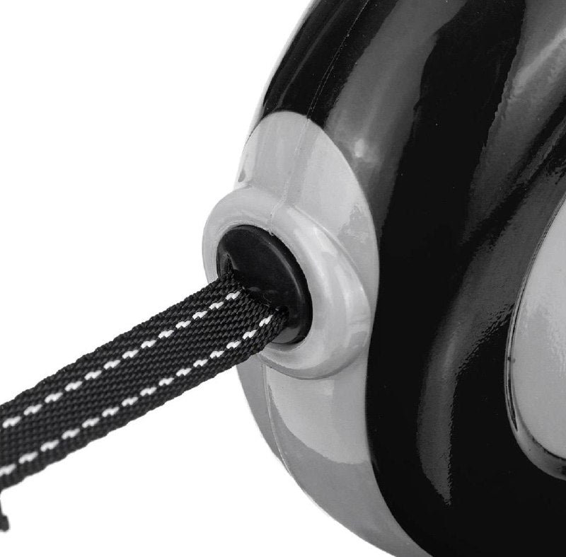 Retractable Leash 3m