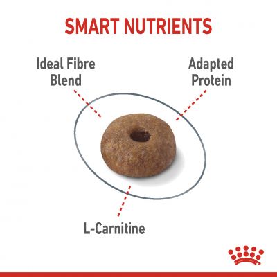 رويال كانين لايت 1.5 كجم