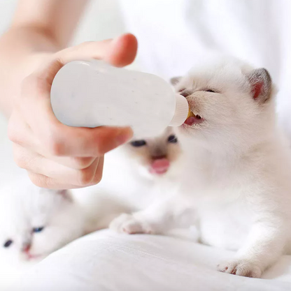 بوتڵی منداڵ