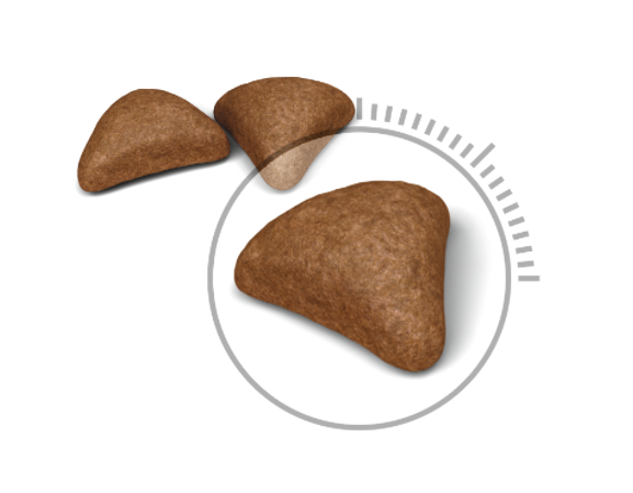 Royal Canin Hairball Care 2Kg