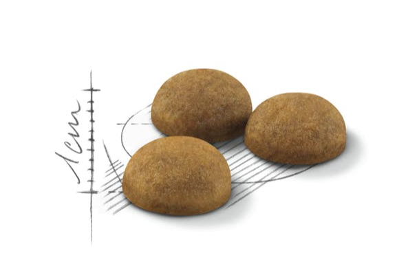 Royal Canin Indoor Long Hair 2Kg