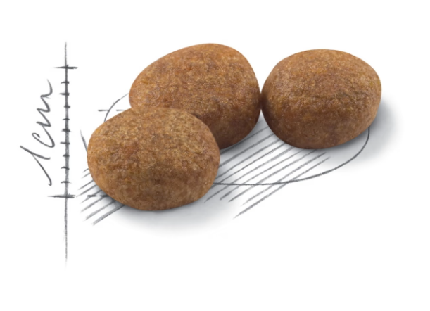 Royal Canin Sterilized 10Kg