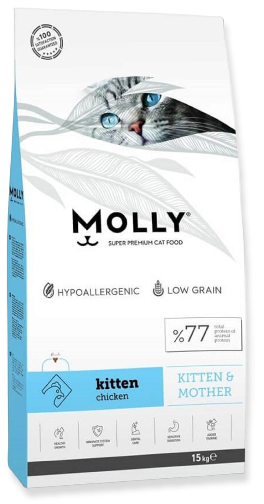 Molly Kitten & Mother 2Kg