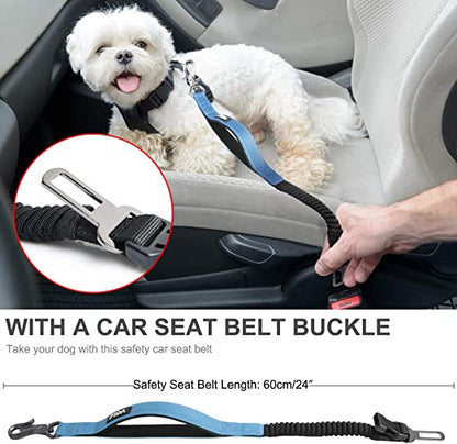 مقود الكلب فيدا 