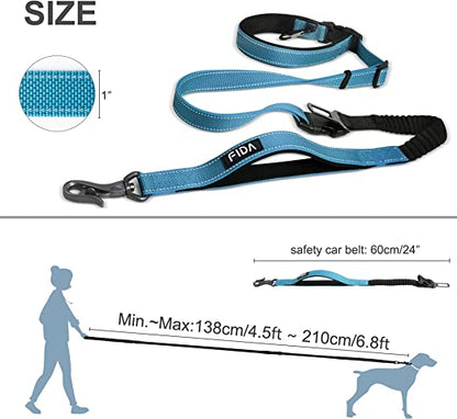 مقود الكلب فيدا 