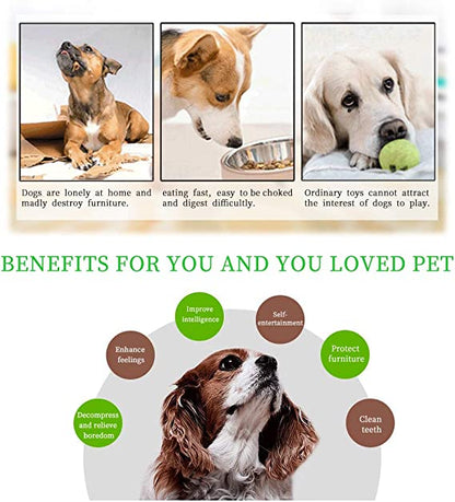 لعبة وحدة تغذية الألغاز