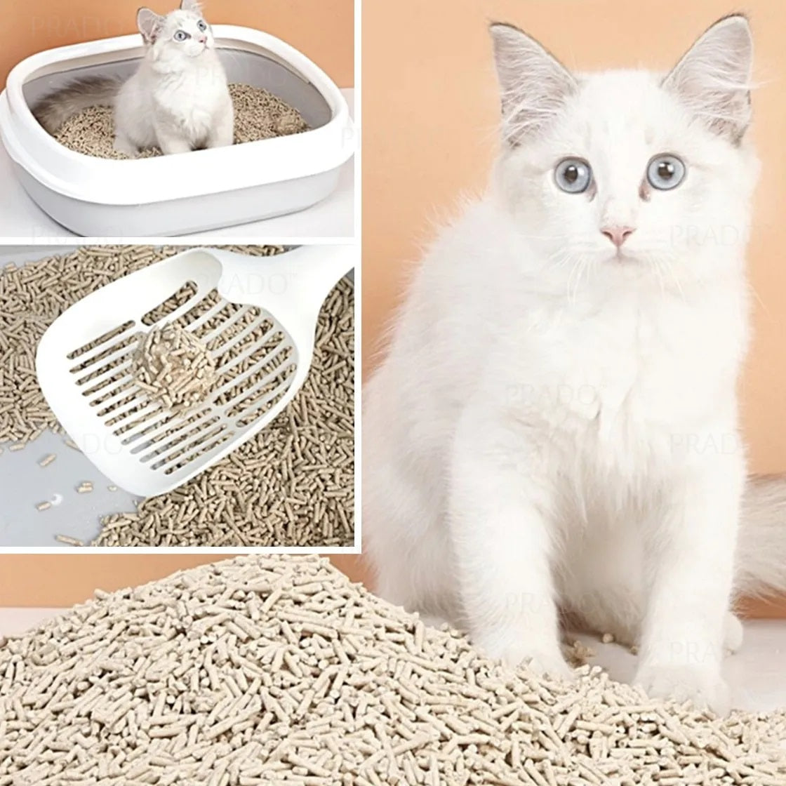 توفو الخوخ 6 لتر 