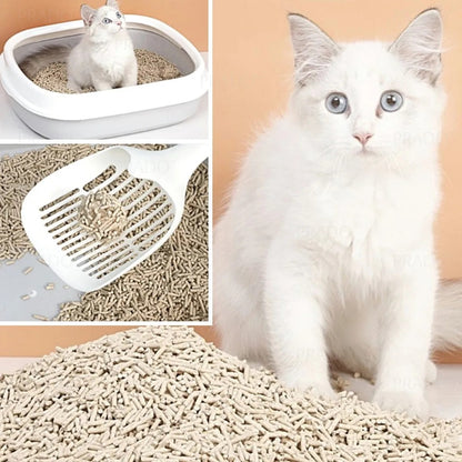 توفو الخوخ 6 لتر 