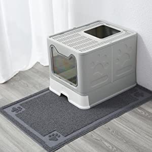 خۆڵەمێشی بۆکسی زبڵ و خاشاک کە دەتوانرێت بچەمێنرێتەوە 