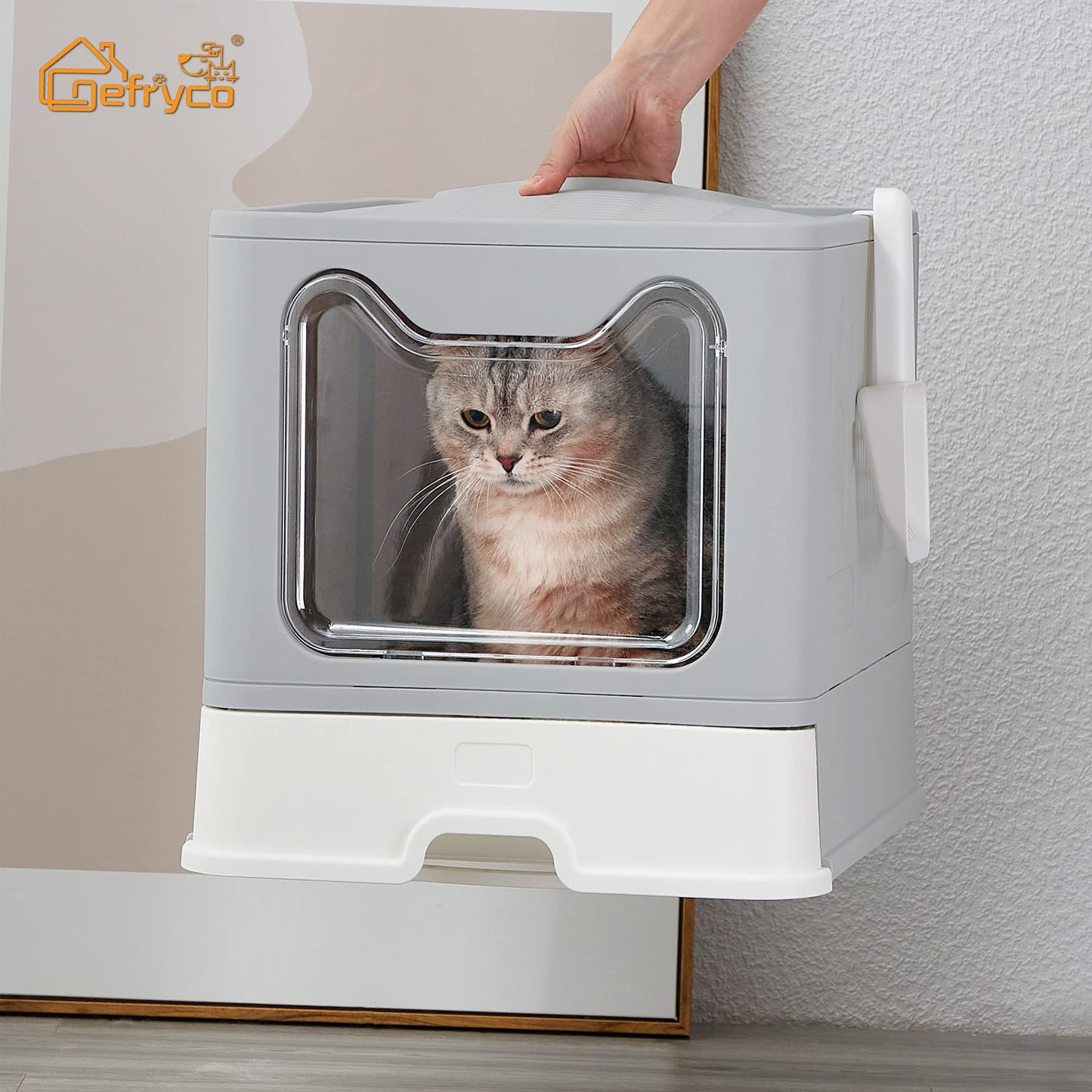 خۆڵەمێشی بۆکسی زبڵ و خاشاک کە دەتوانرێت بچەمێنرێتەوە 