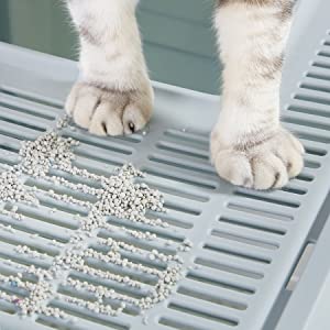 لیتربۆکسی تاو دەکرێت شین 