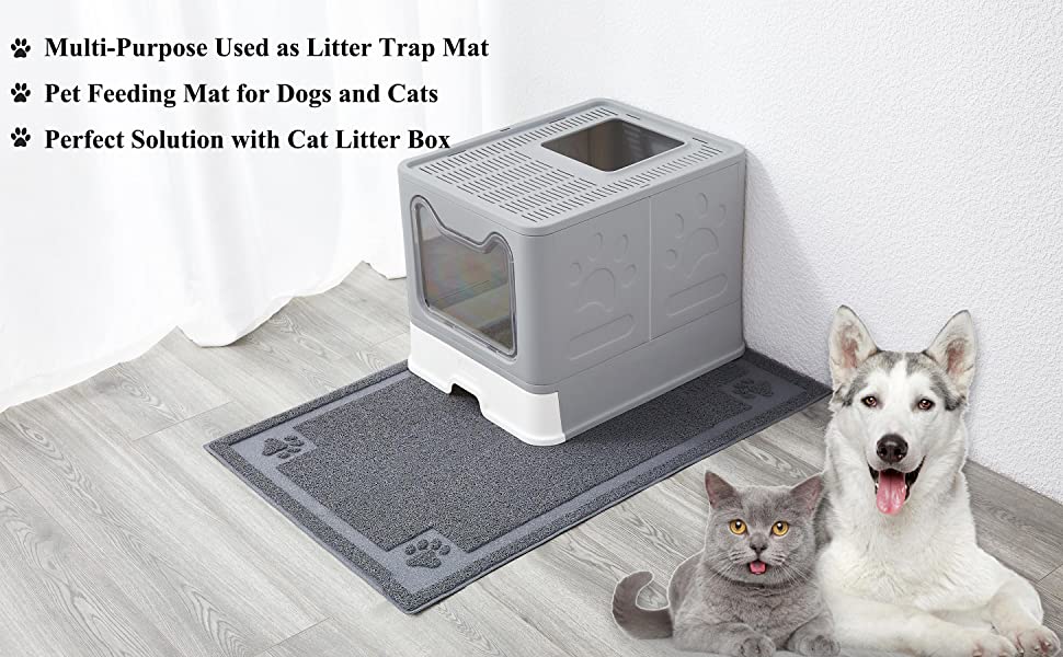 لیتربۆکسی تاو دەکرێت شین 