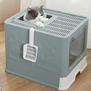 لیتربۆکسی تاو دەکرێت شین 