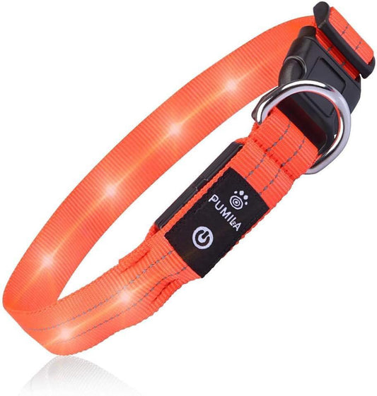 طوق LED من PUMAILA مقاس S