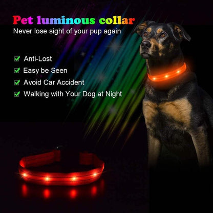 طوق LED من PUMAILA مقاس S